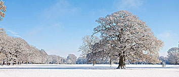 美国女足战平科特迪瓦，晋级美洲杯半决赛
