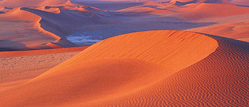 汉诺威96俱乐部换帅如换刀，能否带领球队重拾往日辉煌？